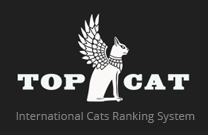 Тема выставки на TOP CAT